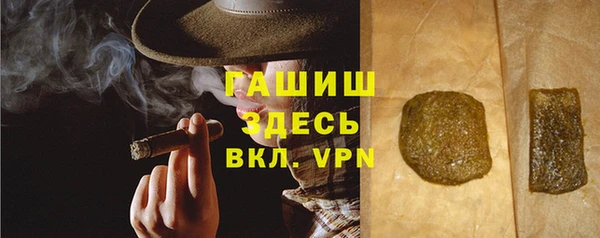индика Приозерск