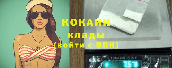 гидра Волосово